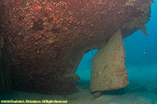 rudder of wreck